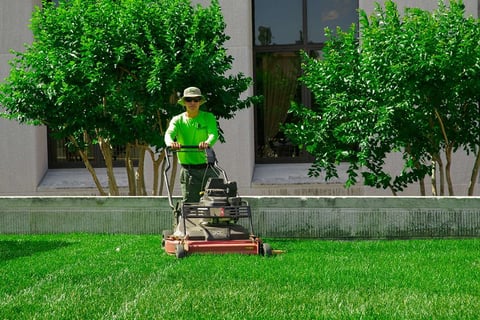 landscape team mows lawn