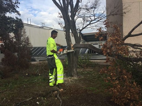 William Urquilla William Urquilla working at Level Green Landscaping