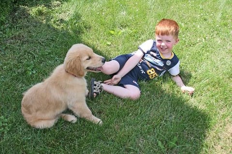 Dog and child in lawn