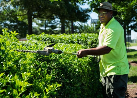 Overgrown plants and trees being cut by a Level Green employee