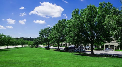 commercial lawn with no weeds