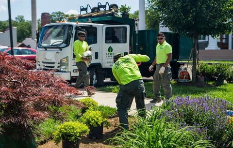 Level Green Landscaping crew planting