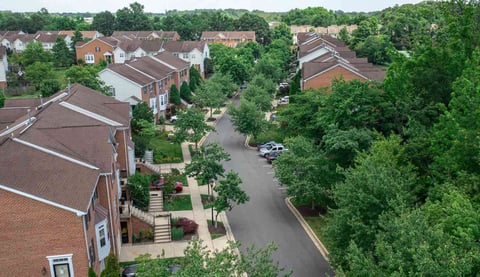 aerial photo of HOA landscape with trees along street