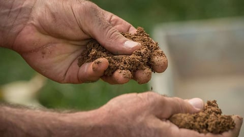 compacted soil in hands