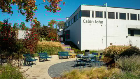 seating area with plantings near cabin john building