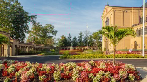 seasonal flowers planted in landscape beds for color