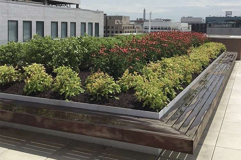 bench-style-seating-washington-dc
