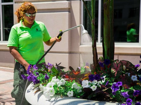 landscape maintenance team waters flowers