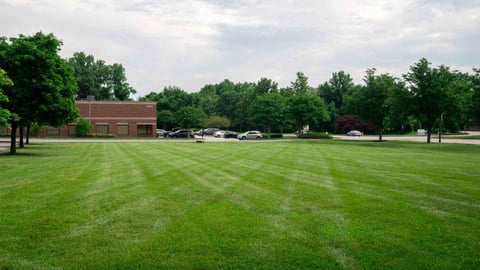 Green healthy grass on commercial property