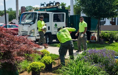 Level Green Landscaing crew working