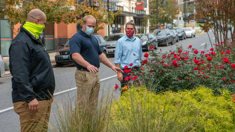 team inspects flowers at property