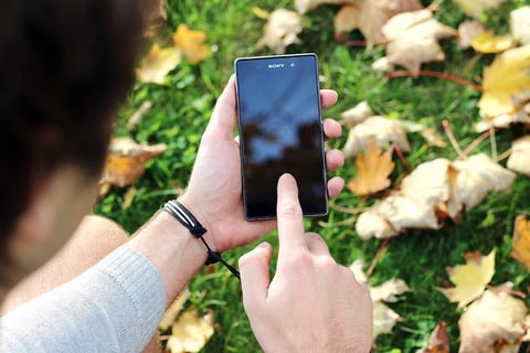 pointing on phone grass