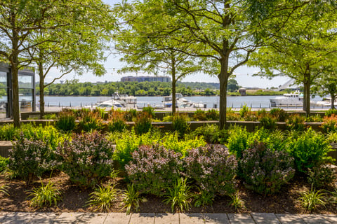 The yards park view of landscape and water 