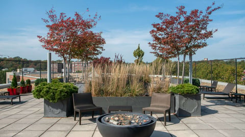 rooftop planters and seating