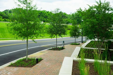 paver and concrete planter boxes