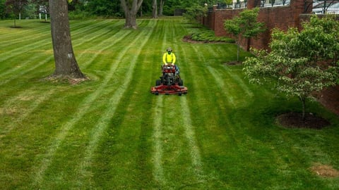 Commercial lawn mowing