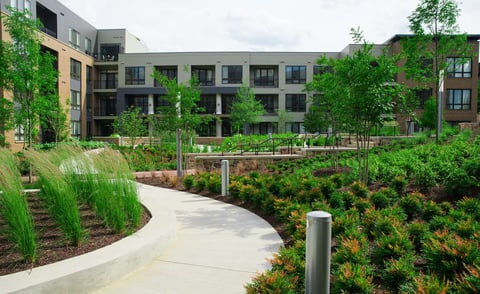 erosion control plantings on sloped landscape