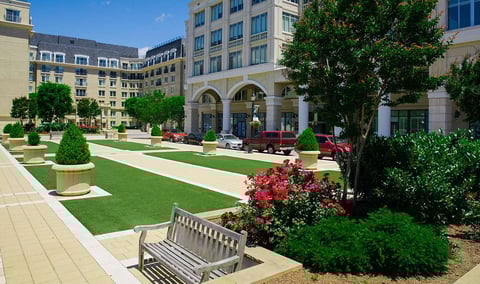 Clean commercial landscape