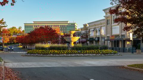 seasonal color around fountain 