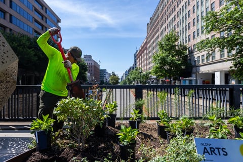 crew planting in landscape bed 