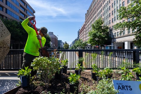 crew planting in landscape bed