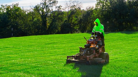 crew mowing green commercial lawn