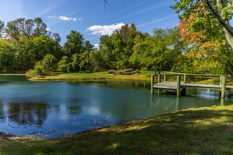 pond at community association