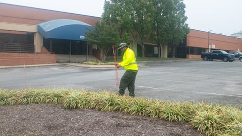 snow removal contractor putting stakes to protect plants