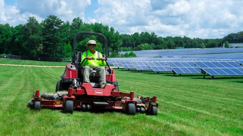 landscape maintenance team mows grass at solar farm