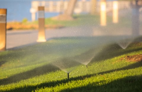 Commercial irrigation system running 