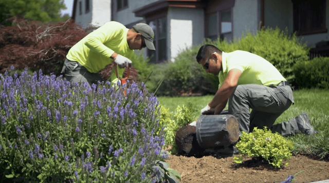 landscaping jobs